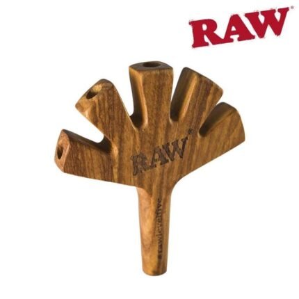 RAW Level Five