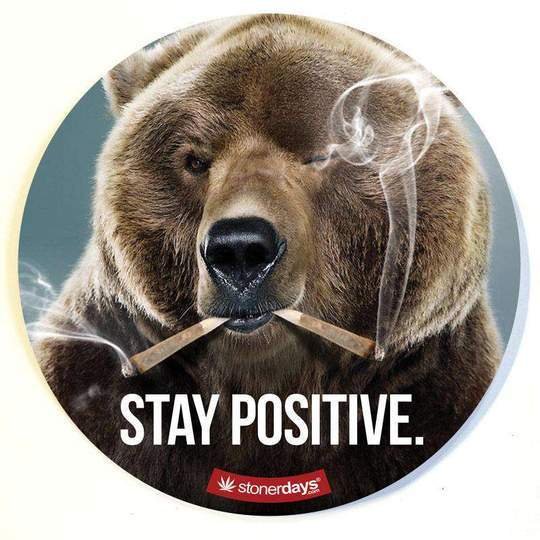 STAY-POSITIVE-BEAR-MARIJUANA-DAB-MAT_540x_1024x_23bb9507-4d0e-442b-8035-6360bfa3311e.jpg STAY POSITIVE DAB PAD - Image 1