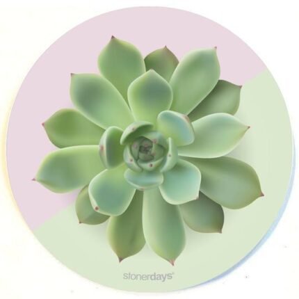 SUCCULENT GREENS DAB MAT