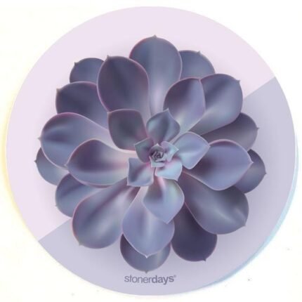 SUCCULENT PURPS DAB MAT