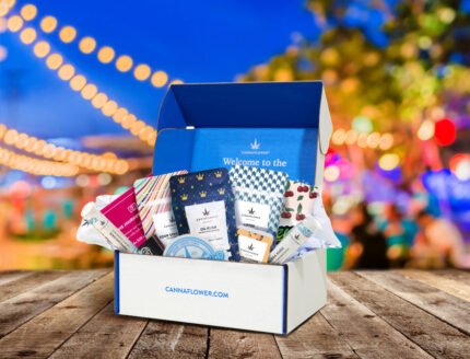 Voyager Box