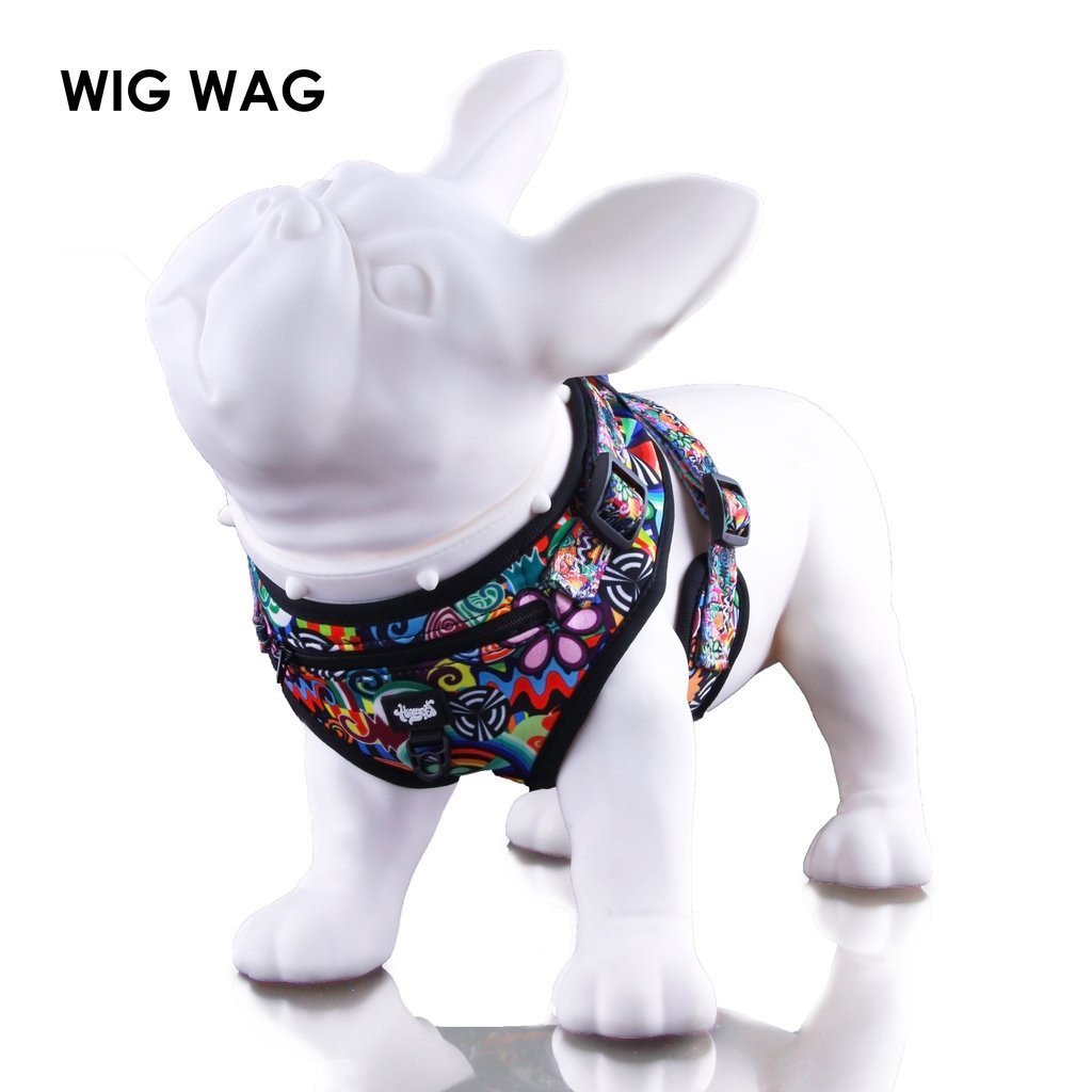 Wig_Wag_1024x_252f5ab4-d7c1-4c67-9618-04af68127a84.jpg HeadyPet - Dog Harness - Image 1